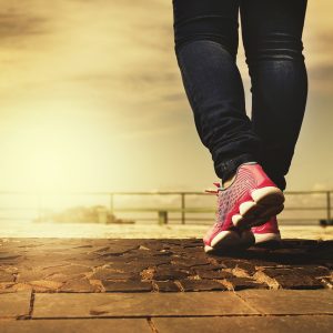 5 Brisbane walking tracks that will leave you in awe